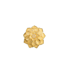 Traditional Gold Jewellery